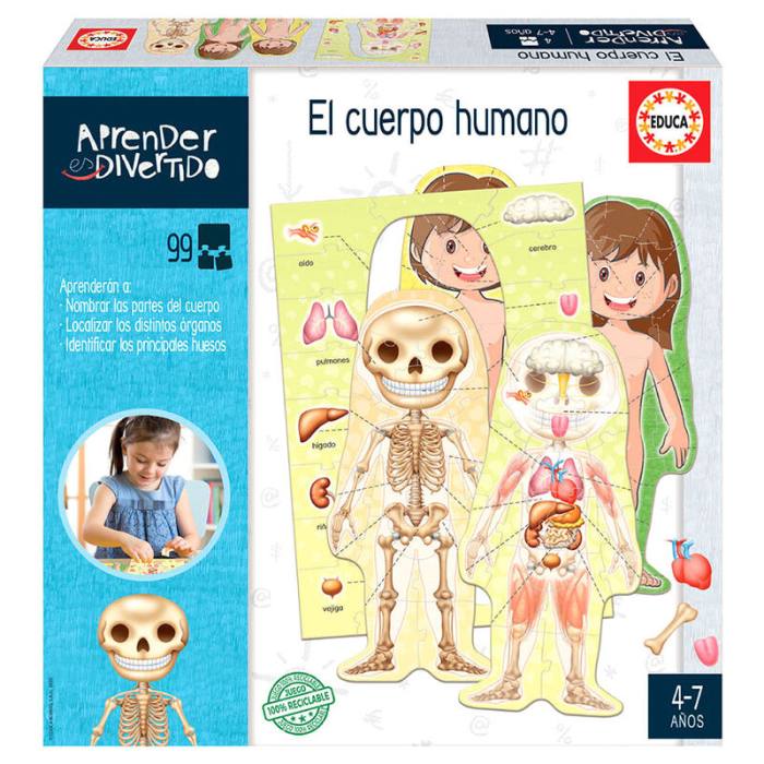 Spanish The Human Body 37133