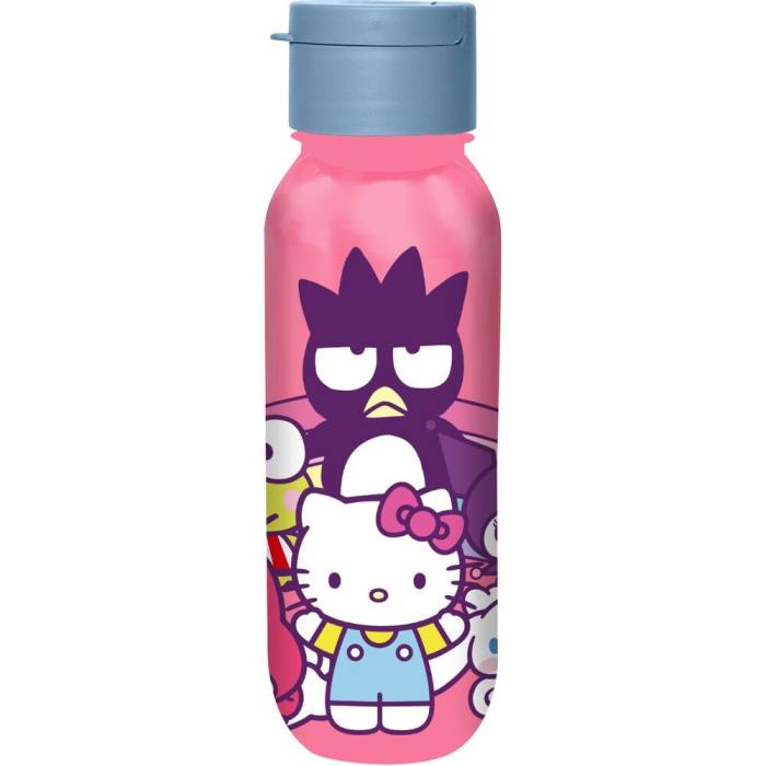 Hello Kitty and Friends bottle 500ml 43999