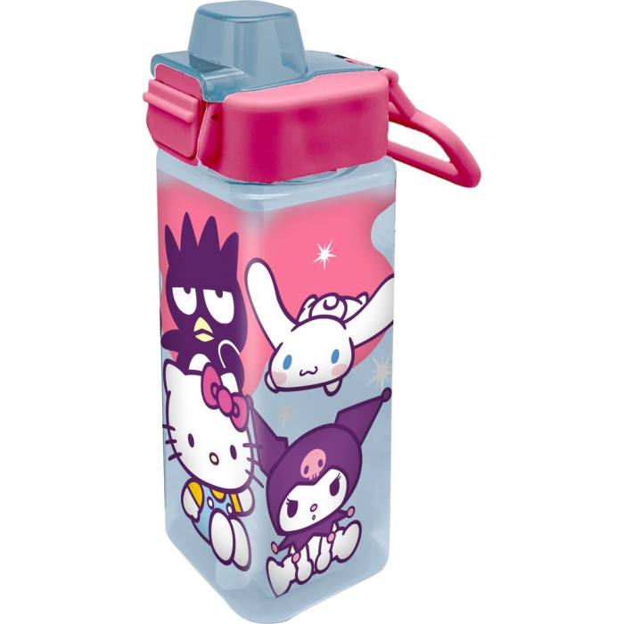 Hello Kitty and Friends bottle 500ml 44006
