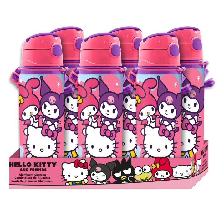 Hello Kitty and Friends aluminium bottle 600ml 44004